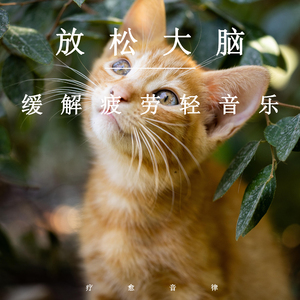 夜先锋影音资源
